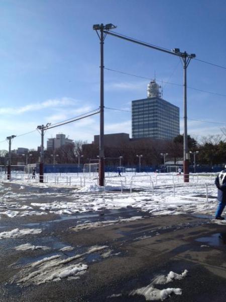 ツルッツル！画像