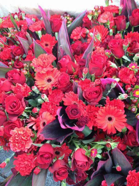 今年1回目のオッシュマンズそうじ！！画像