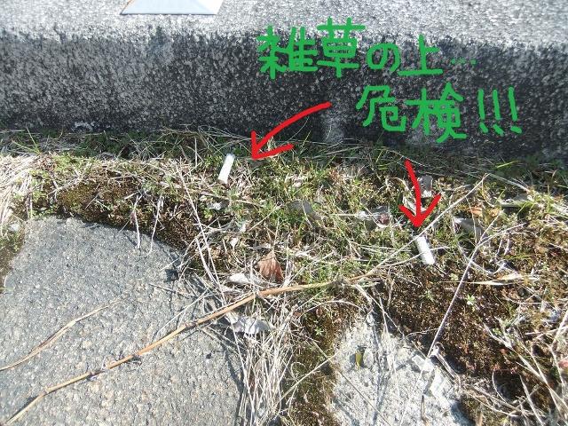 １/２７（日）日曜そうじ＠夢咲公園周辺画像