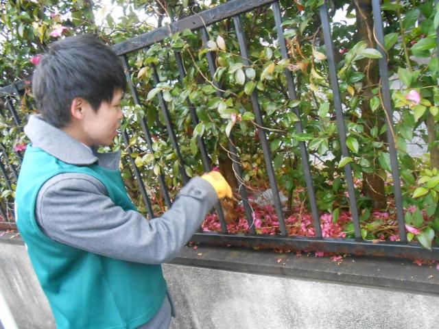 ２/６（水）朝そうじ＠佐賀城本丸周辺画像