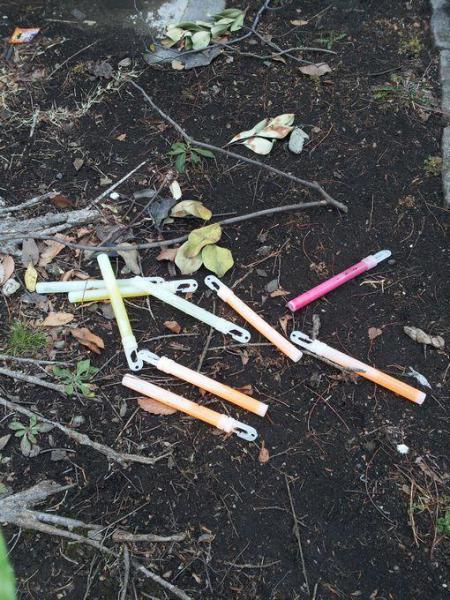 ただいま！画像