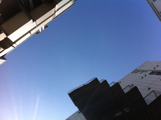 ドレミファ♪画像