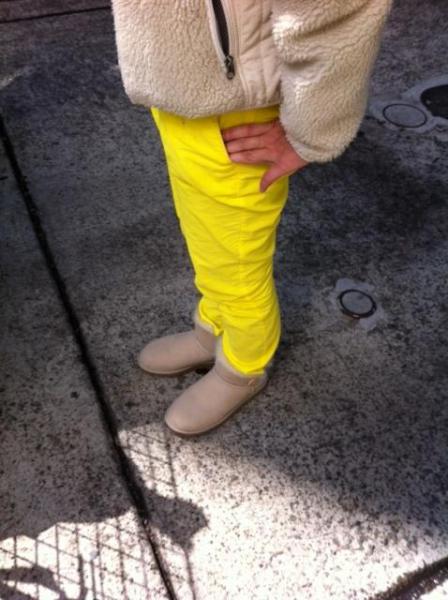 ドレミファ♪画像