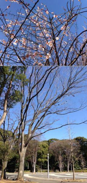 なぞなぞです。画像