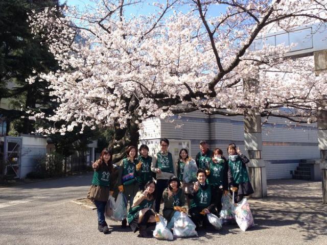 サクラサク画像