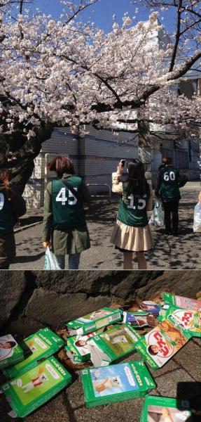 サクラサク画像