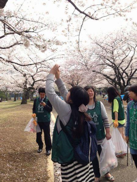 サクラオンリー画像