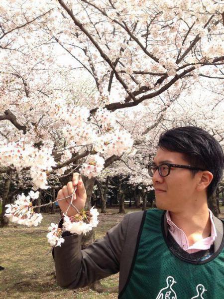 サクラオンリー画像