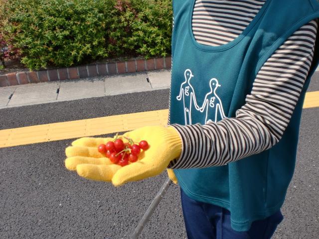 ４/２８日曜そうじ＠夢咲公園画像