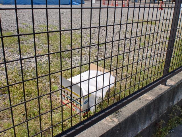 ４/２８日曜そうじ＠夢咲公園画像