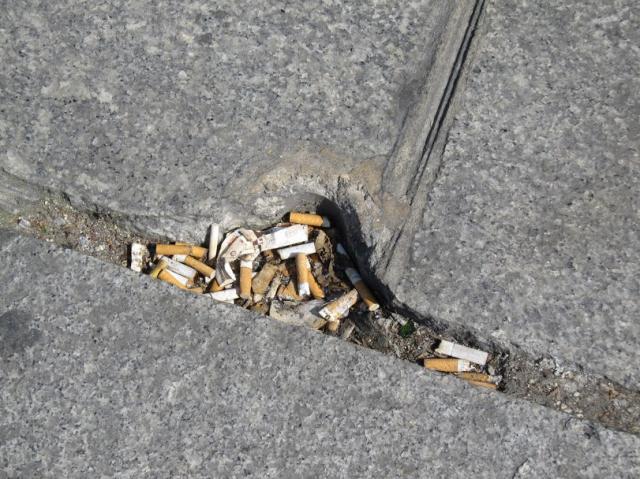 やっと春がきました！！画像