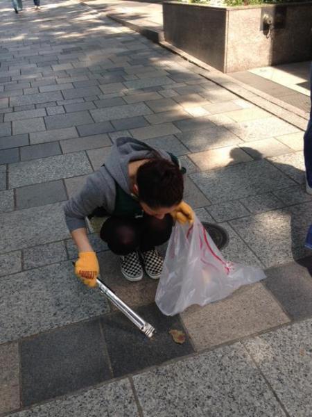 夏の扉（とべら）！画像