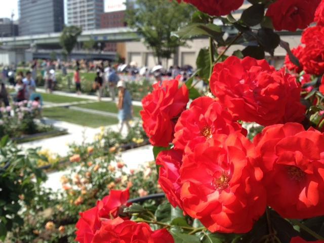 ごみゼロ北新地チームおそうじ画像