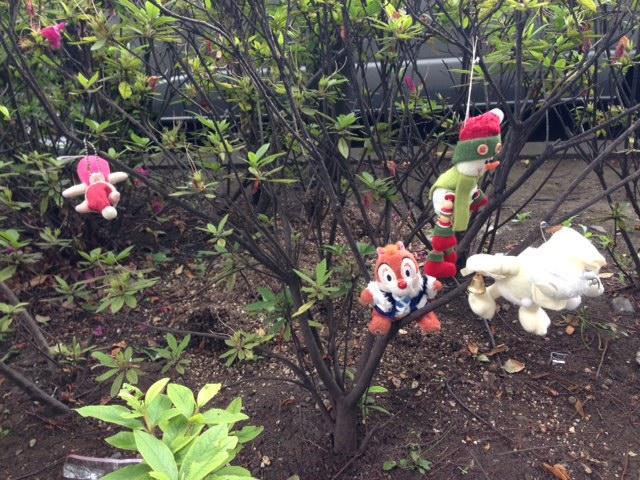 なかなか名前が覚えられません！画像