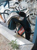 木曜夜　第３回目の定例おそうじ画像