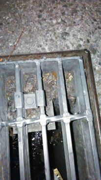 木曜夜　第５回目の定例おそうじ画像