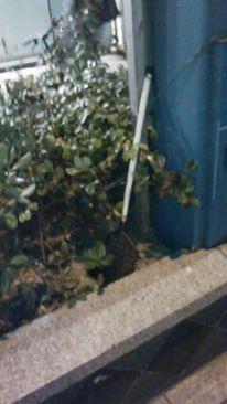 木曜夜　第５回目の定例おそうじ画像