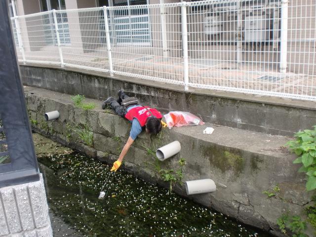 ６/５（水）朝そうじ＠佐賀城本丸周辺画像