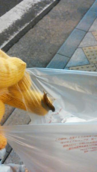 木曜夜　第６回目の定例おそうじ画像