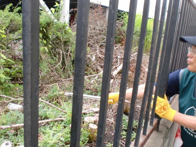 ７/３（水）朝そうじ＠佐賀城本丸周辺画像