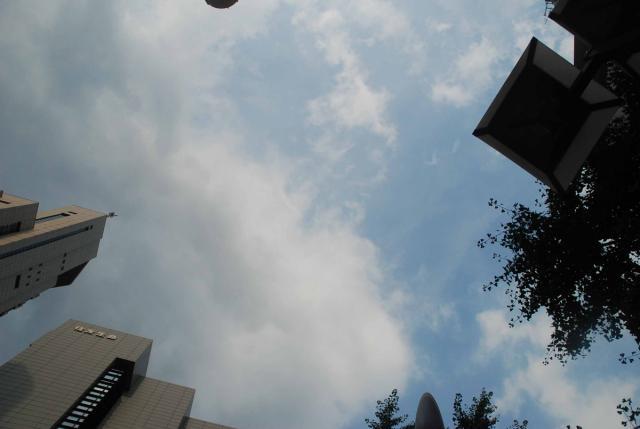 7月1回目（第2土曜）定例おそうじ行いました！画像