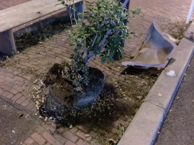 ８/１４（水）夜そうじ＠佐賀市愛敬町画像