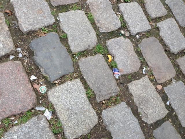 恐らく初！？サンマルタン運河お掃除画像