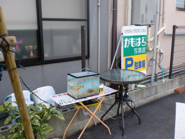 １２/４（水）朝そうじ＠佐賀城周辺画像