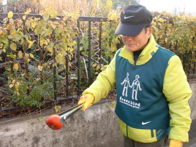 １２/４（水）朝そうじ＠佐賀城周辺画像