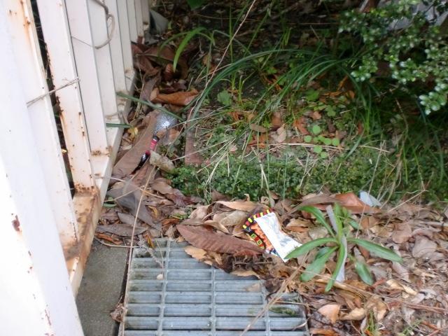 ３/５（水）朝そうじ＠佐賀城本丸歴史館周辺画像