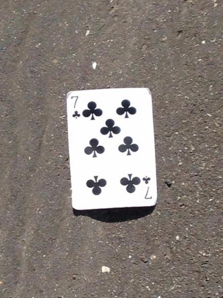 マドレーヌはキレイだった画像