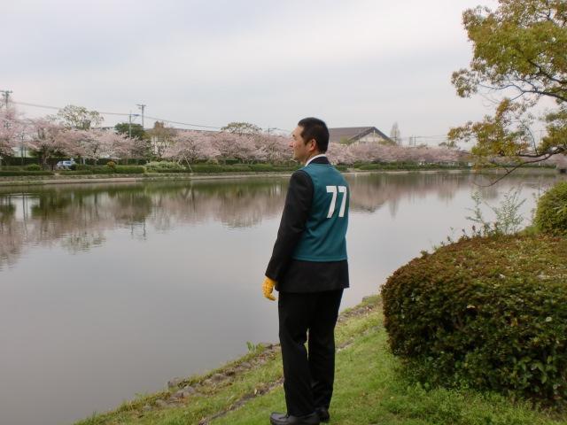 ４/１（火）朝そうじ＠佐賀城本丸歴史館周辺画像