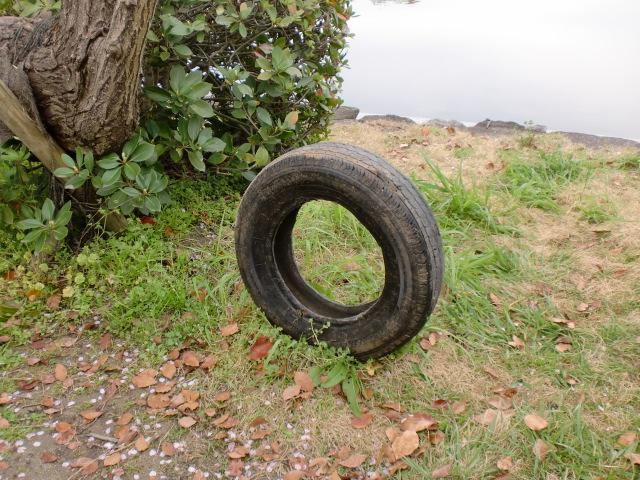 ４/１（火）朝そうじ＠佐賀城本丸歴史館周辺画像