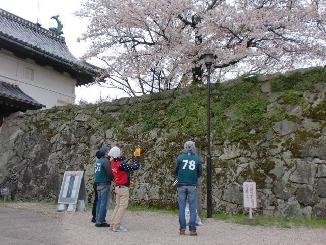 ４/１（火）朝そうじ＠佐賀城本丸歴史館周辺画像