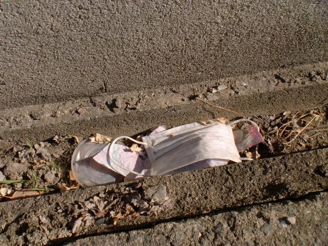 ５/７（水）朝そうじ＠佐賀城本丸歴史館周辺画像