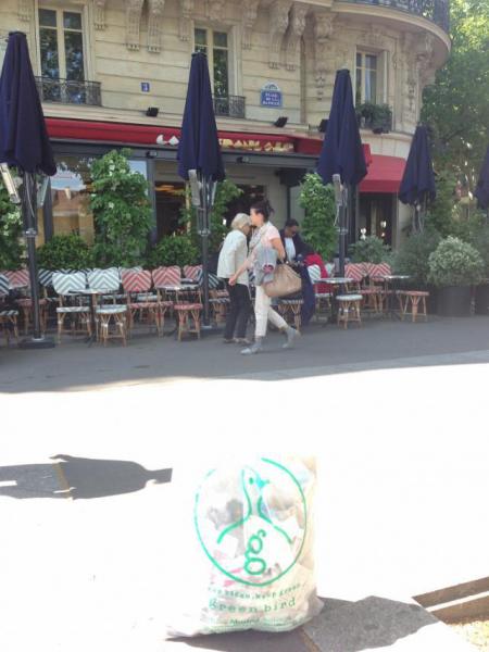 快晴のバスチーユ画像