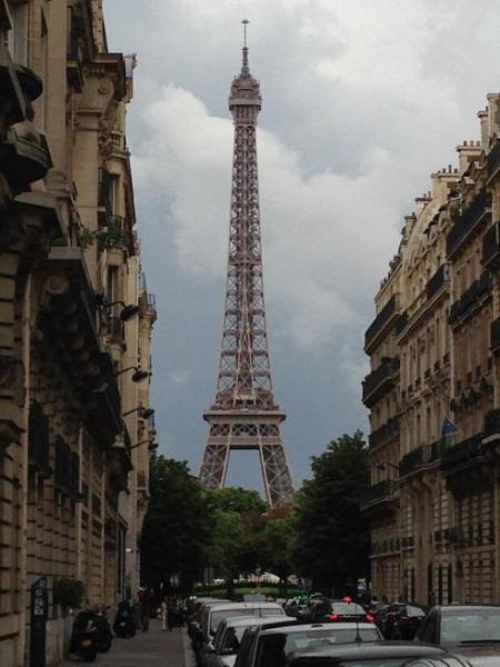 ワンコとお掃除画像