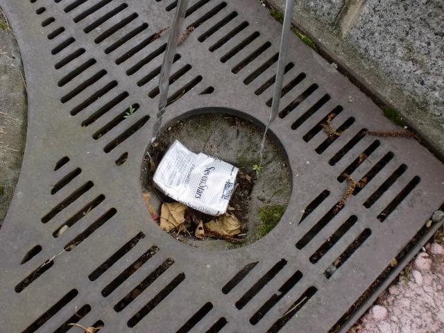 ７/２７（日）日曜そうじ＠佐賀市どん３の森画像