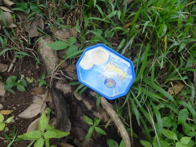 8月17日（8月17日）画像