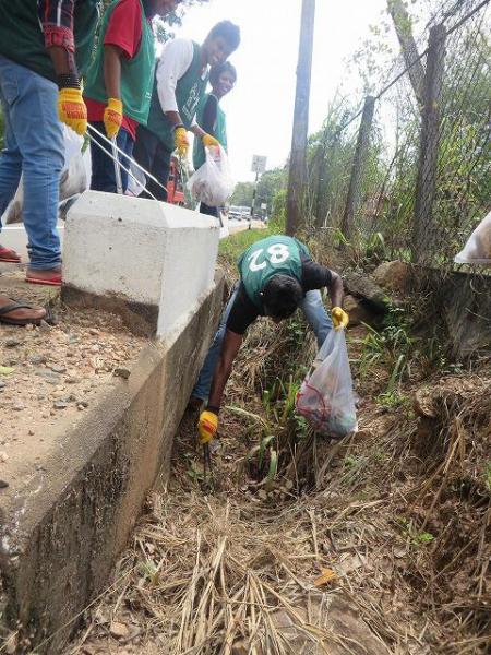 雨季の合間の晴れ間（10月3日）画像