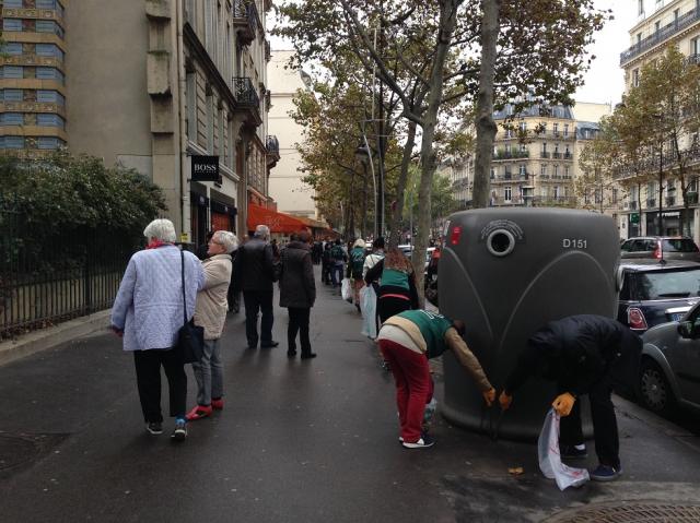 雨のち晴れ、で、キノコ！画像