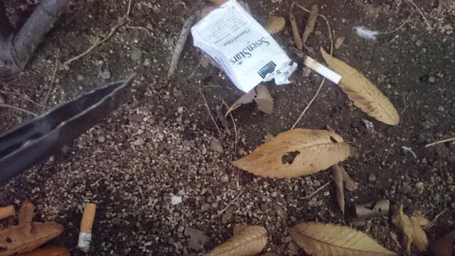 【木曜バード】11月1週、定例おそうじ行いました！画像