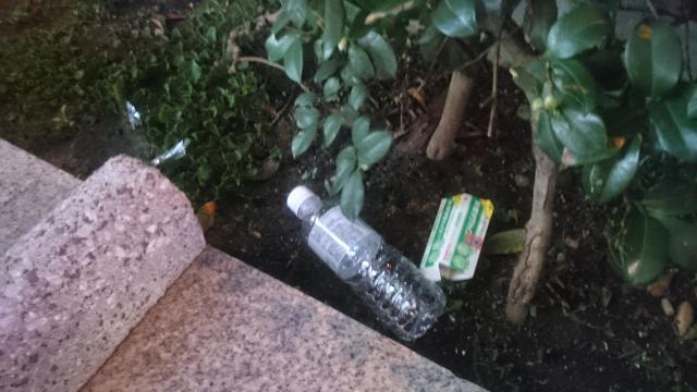 【木曜バード】11月1週、定例おそうじ行いました！画像