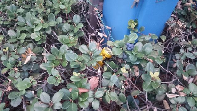 北新地チーム11月1回目(第2土曜)、定例おそうじ行いました！画像