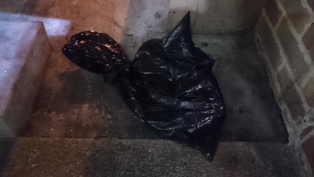 【木曜バード】12月4週、定例おそうじ行いました！画像