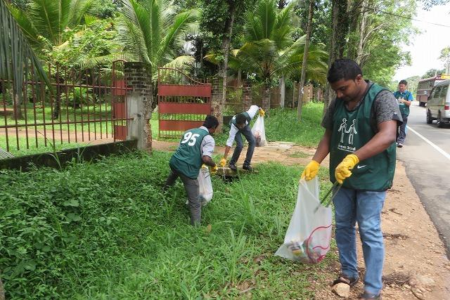 雨季の合間の晴れ(5月17日)画像