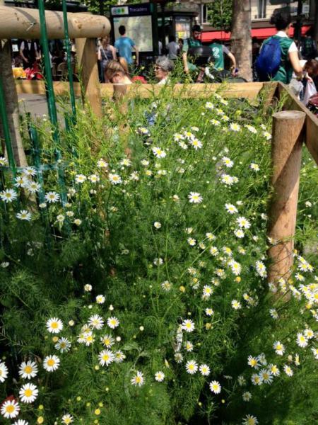 参加者倍増！画像