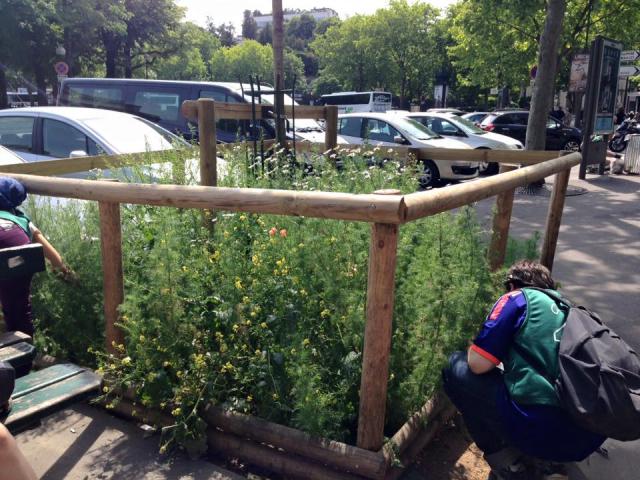 参加者倍増！画像