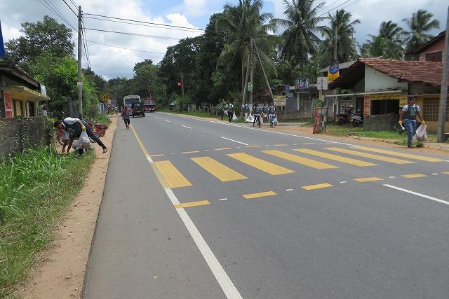日本より涼しいスリランカから(7月10日)画像
