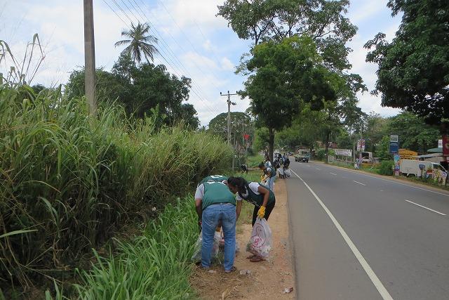 日本より涼しいスリランカから(7月10日)画像